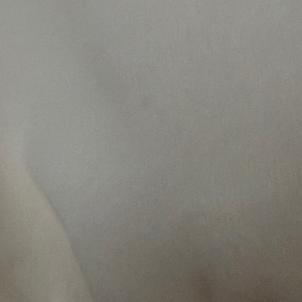 Wilfred Cream Floral V-Neck Button Crop Top - Sz. Small (minor marks see pics) - Picture 4 of 6